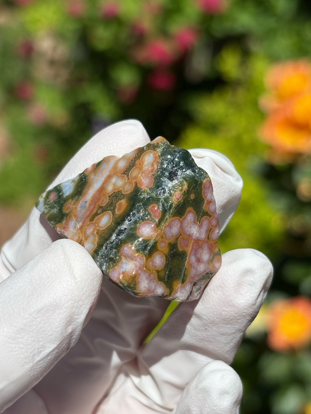 Small Ocean Jasper Freeform - Orbicular Jasper - Polished Sea Jasper